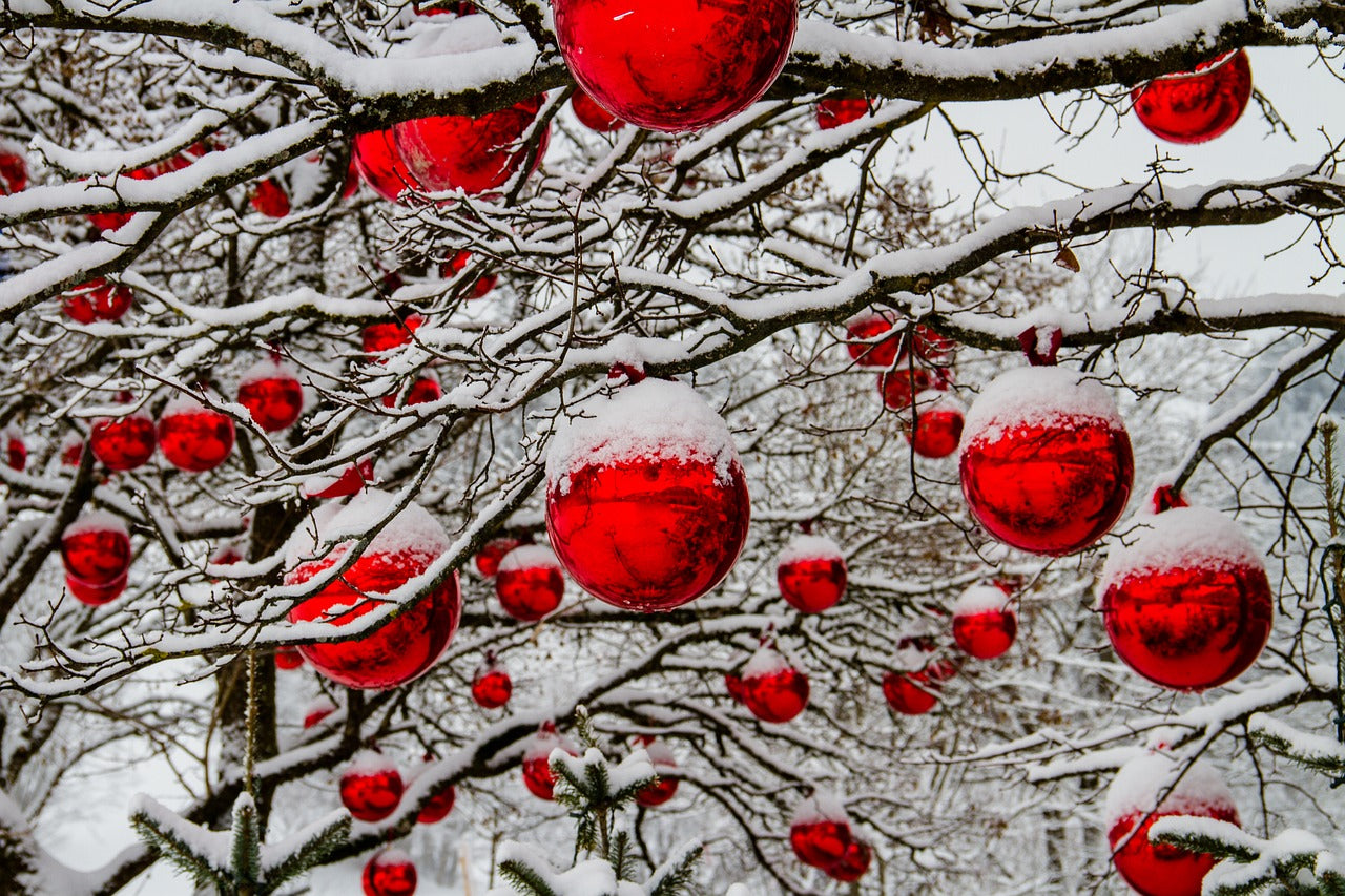 Merry Christmas to you.
