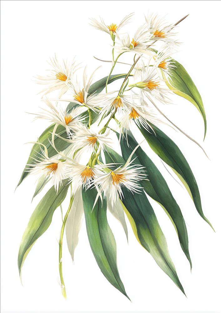 1961-MaximalistEclectic