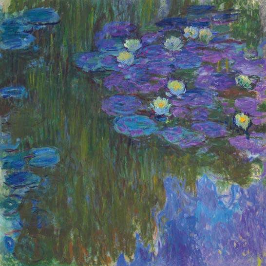 1CM7680 - CLAUDE MONET - Nympheas en fleur