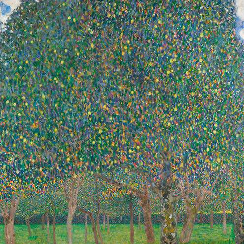 1GK7652 - GUSTAV KLIMT - Pear Tree, 1903