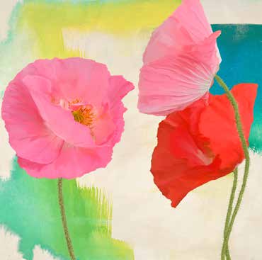 1TR6430 - Teo Rizzardi - Festival I (detail)