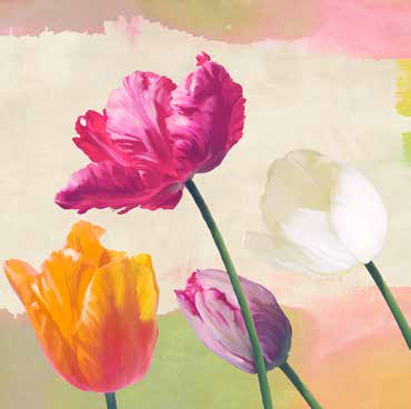 1TR6432 - Teo Rizzardi - Florilegium I (detail)