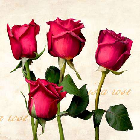 1TR7527 - TEO RIZZARDI - A Rose is a Rose