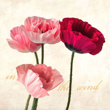 1TR7528 - TEO RIZZARDI - In the Wind