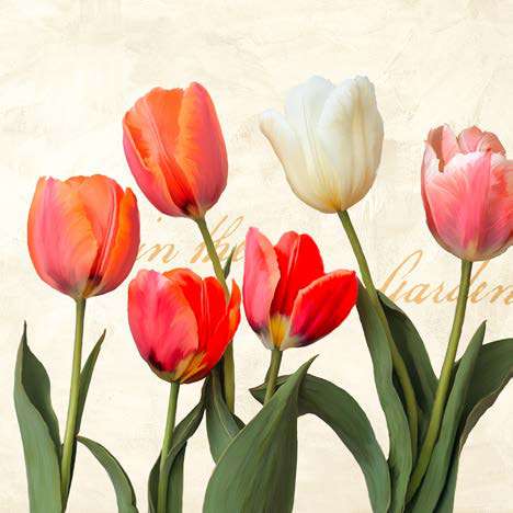 1TR7529 - TEO RIZZARDI - In the Garden