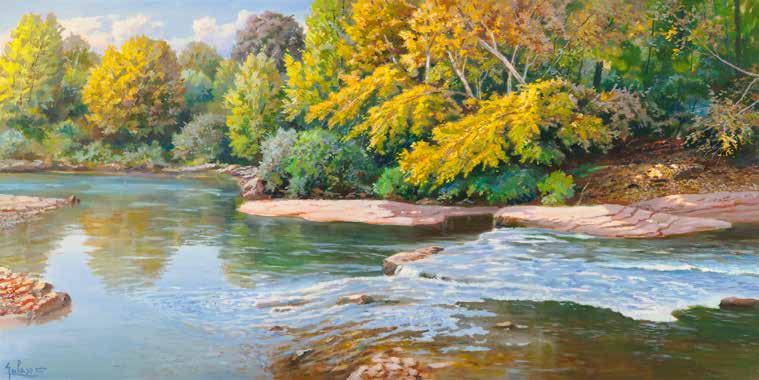 2AD6449 - Adriano Galasso - Torrente nei boschi