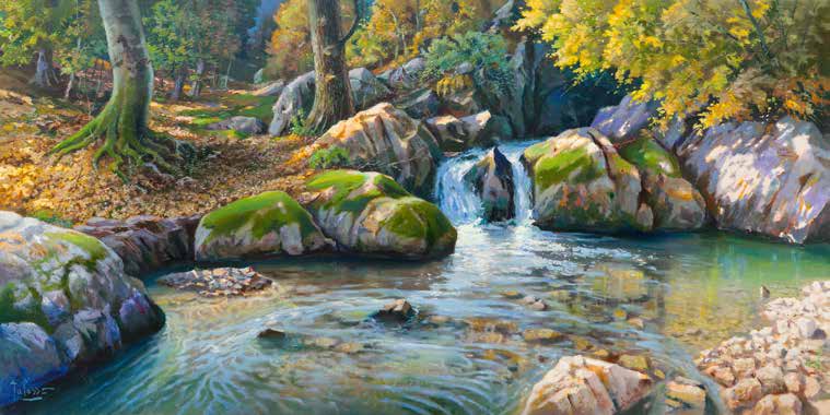 2AD6450 - Adriano Galasso - Cascatella nel bosco