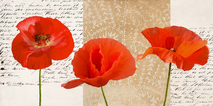 2DO7008 - Elena Dolci - Three Poppies