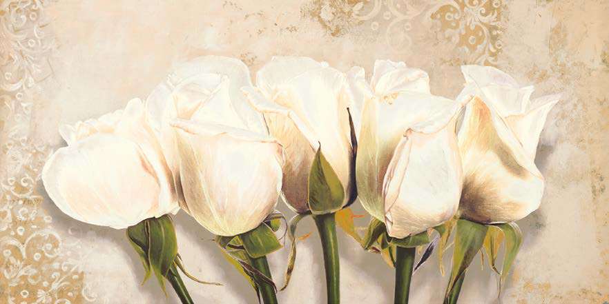 2DO7862 - ELENA DOLCI - White Rose Buds