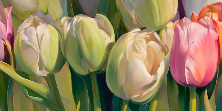 2LC7975 - LUCA VILLA - Fresh tulips