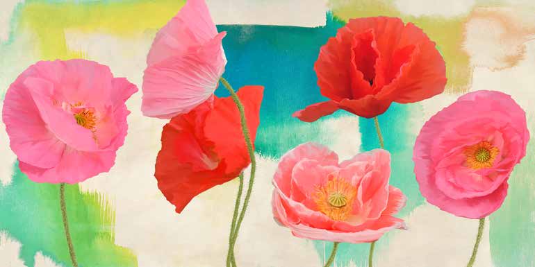 2TR6427 - Teo Rizzardi - Festival