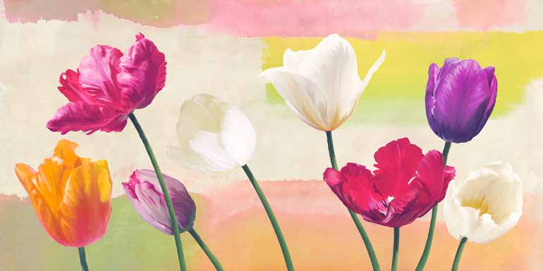 2TR6428 - Teo Rizzardi - Florilegium