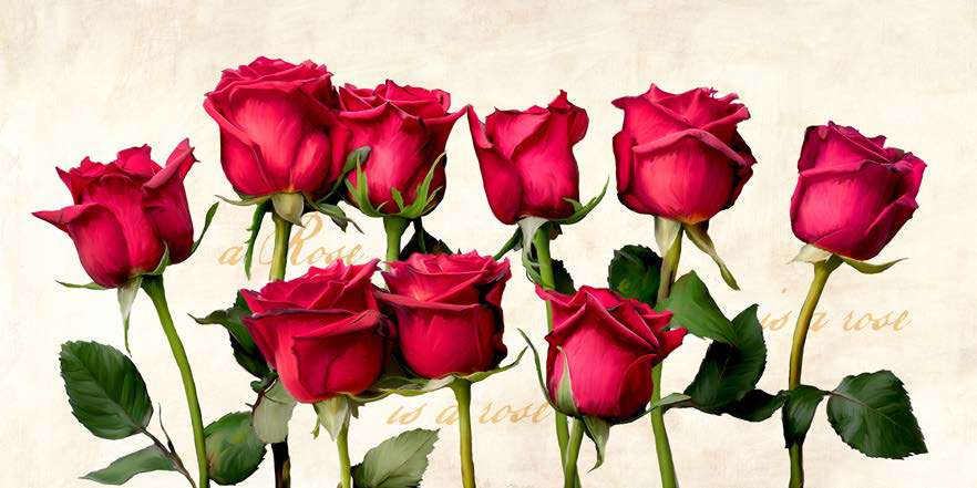 2TR7524 - TEO RIZZARDI - A Rose is a Rose is a Rose