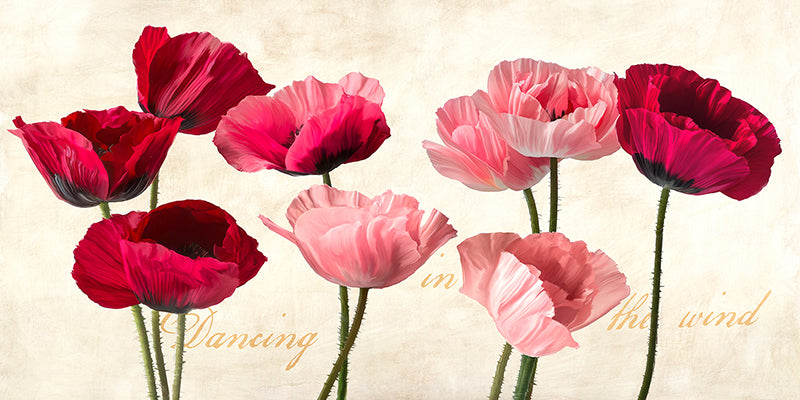 2TR7525 - TEO RIZZARD - Dancing in the Wind