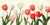 2TR7526 - TEO RIZZARD - Poems in the Garden