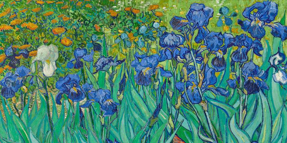 2VG7718 - VINCENT VAN GOGH - Irises (detail)