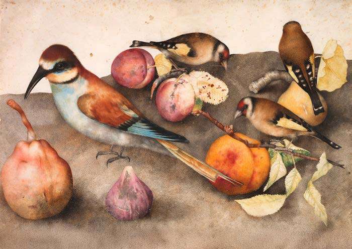 3AA7699 - GIOVANNA GARZONI - Still Life with Birds and Fruit, c. 1650