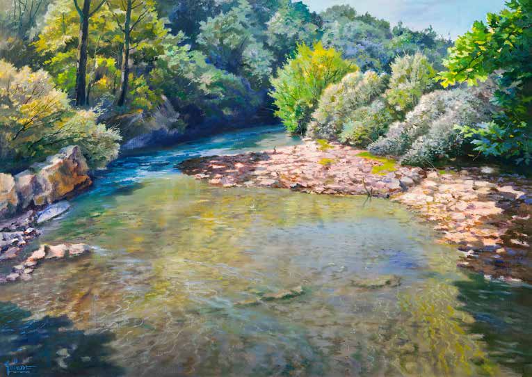 3AD6448 - Adriano Galasso - Ansa nel torrente