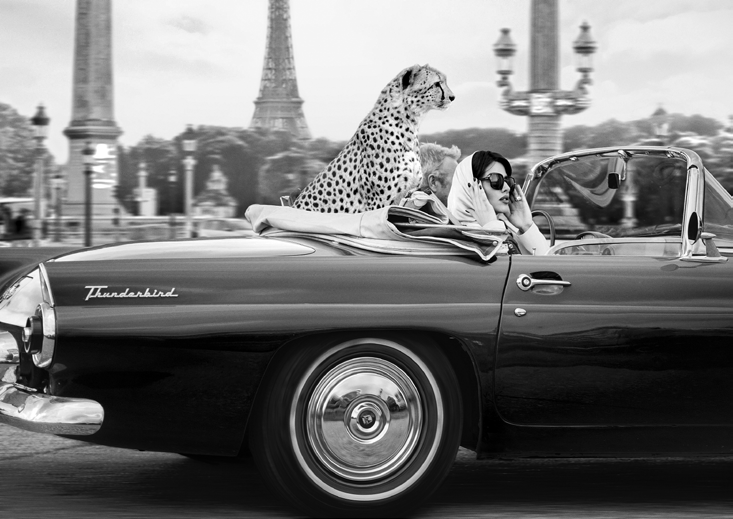 3AP6475 - Julian Lauren - In Paris