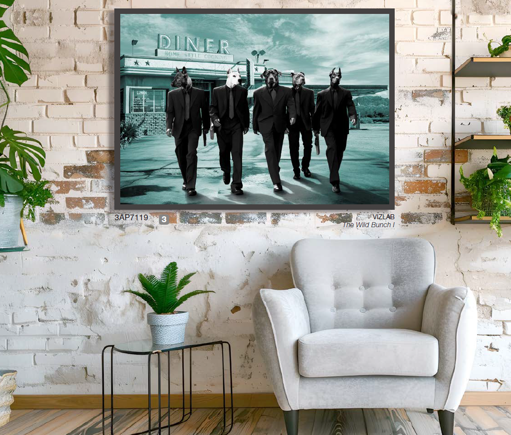 3AP7119 - VizLab - The Wild Bunch I