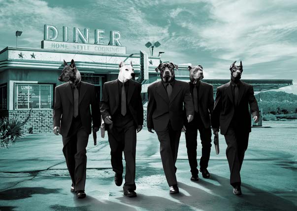 3AP7119 - VizLab - The Wild Bunch I