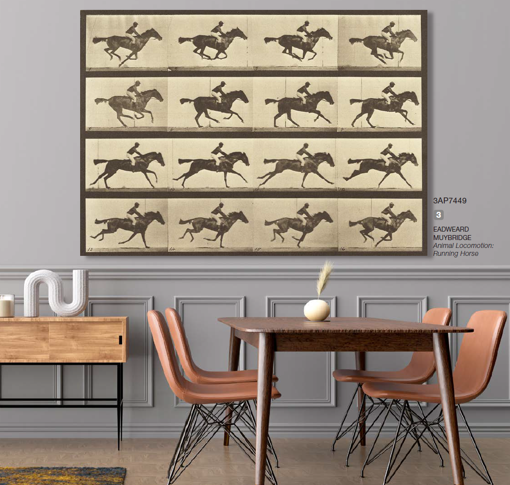 3AP7449 - Eadweard Muybridge - Animal Locomotion: Running Horse