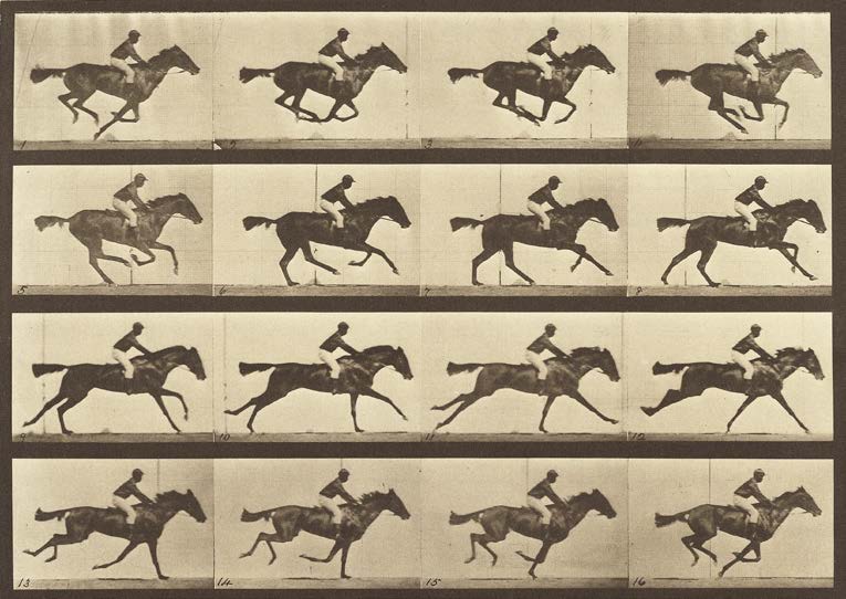 3AP7449 - Eadweard Muybridge - Animal Locomotion: Running Horse