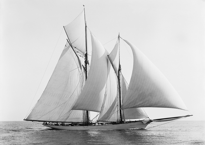 3AP7737 - ANONYMOUS - Merlin, 1892