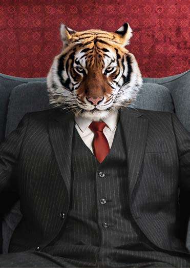 3AP7904 - VIZLAB - El Tigre (detail)