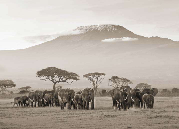 3AP7943 - PANGEA IMAGES - Kenya, Amboseli National Park