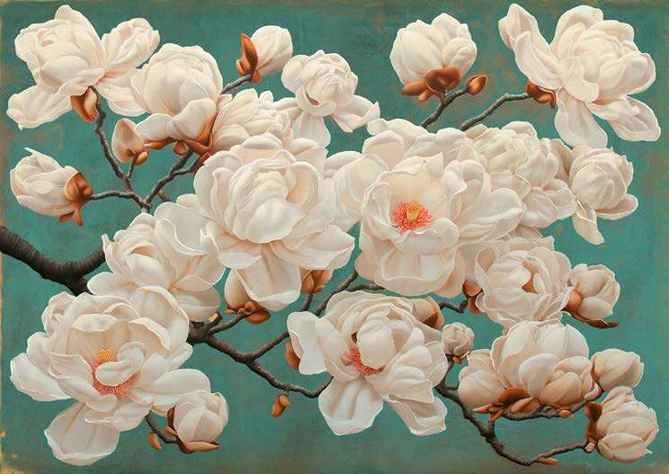 3DE7843 - REMY DELLAL - Magnolia (Turquoise)