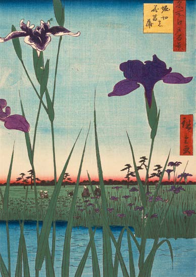 3HI7375 - Ando Hiroshige - Iris Garden