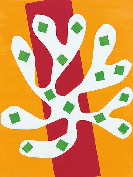 3HM7574 - H. MATISSE - Algue blanche, 1947
