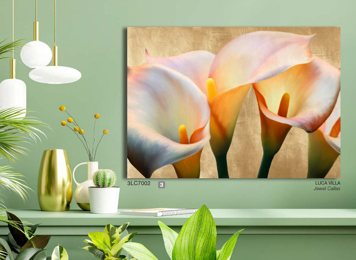 3LC7002 - Luca Villa - Jewel Callas