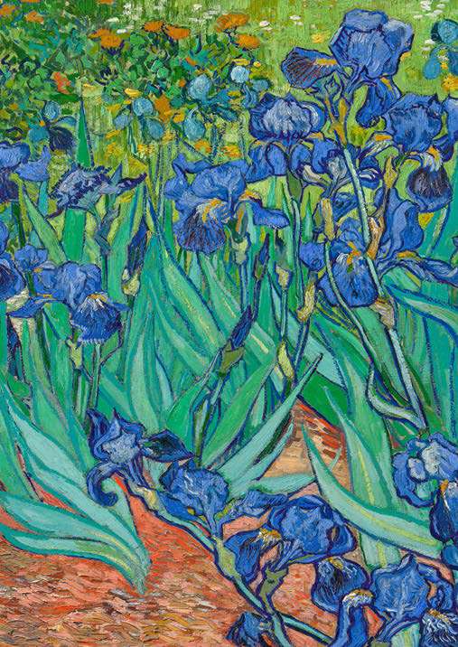 3VG7719 - VINCENT VAN GOGH - Irises (detail