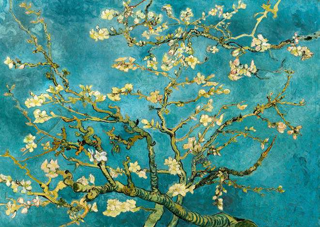 3VG7720 - VINCENT VAN GOGH - Mandorlo in fiore