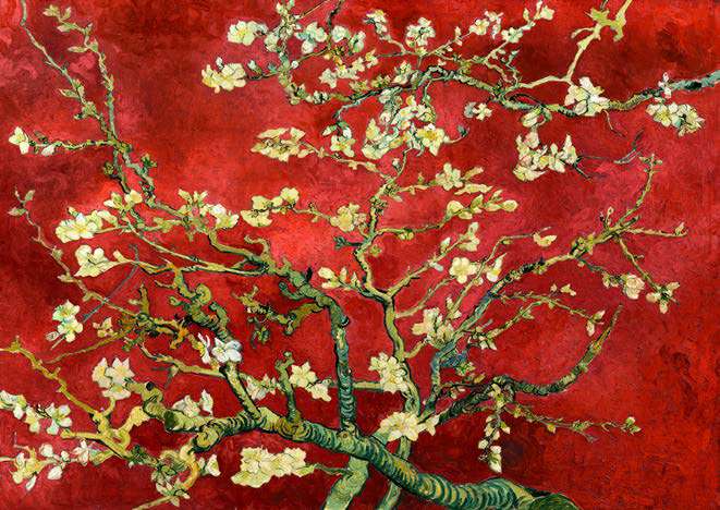 3VG7722 - VINCENT VAN GOGH - Mandorlo in fiore (red variation)