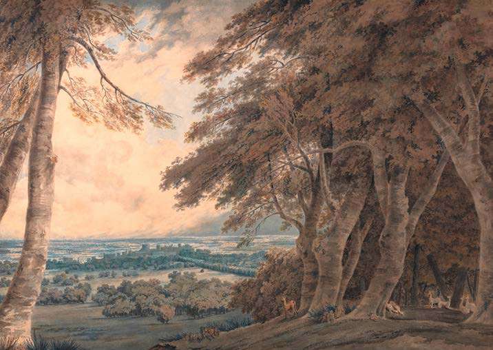 3WT7690 - WILLIAM TURNER - Windsor