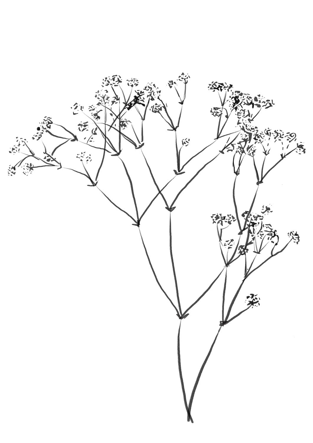 MIUUS_04_Print07_ISO