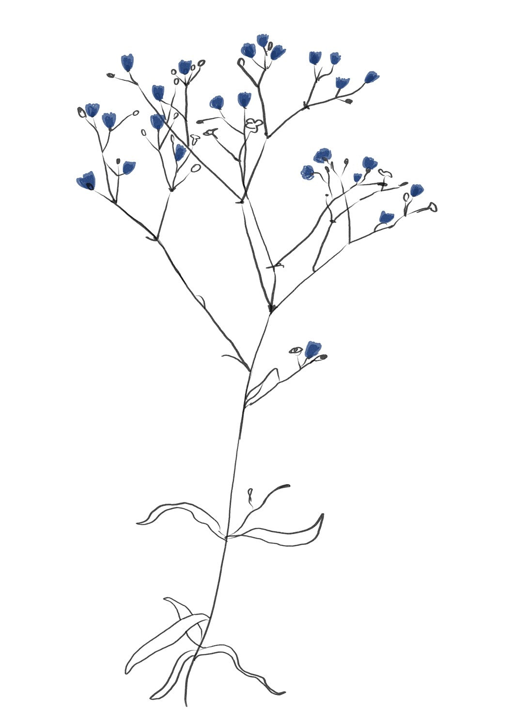 MIUUS_04_Print16_ISO