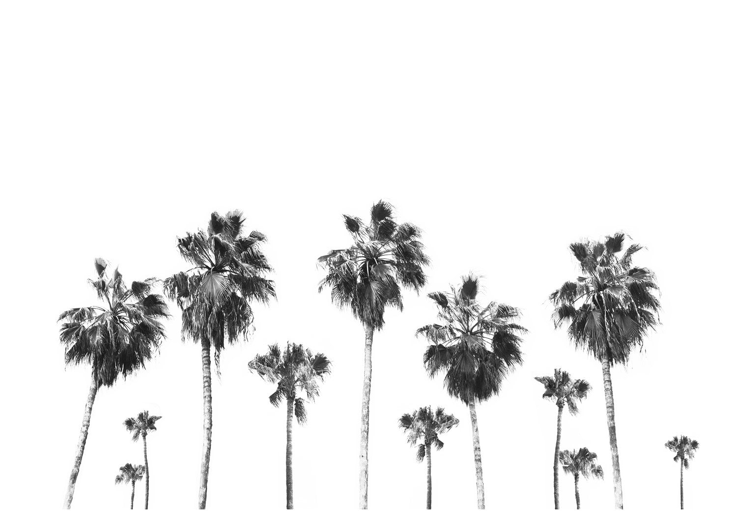 MIUUS_04_Print175_ISO