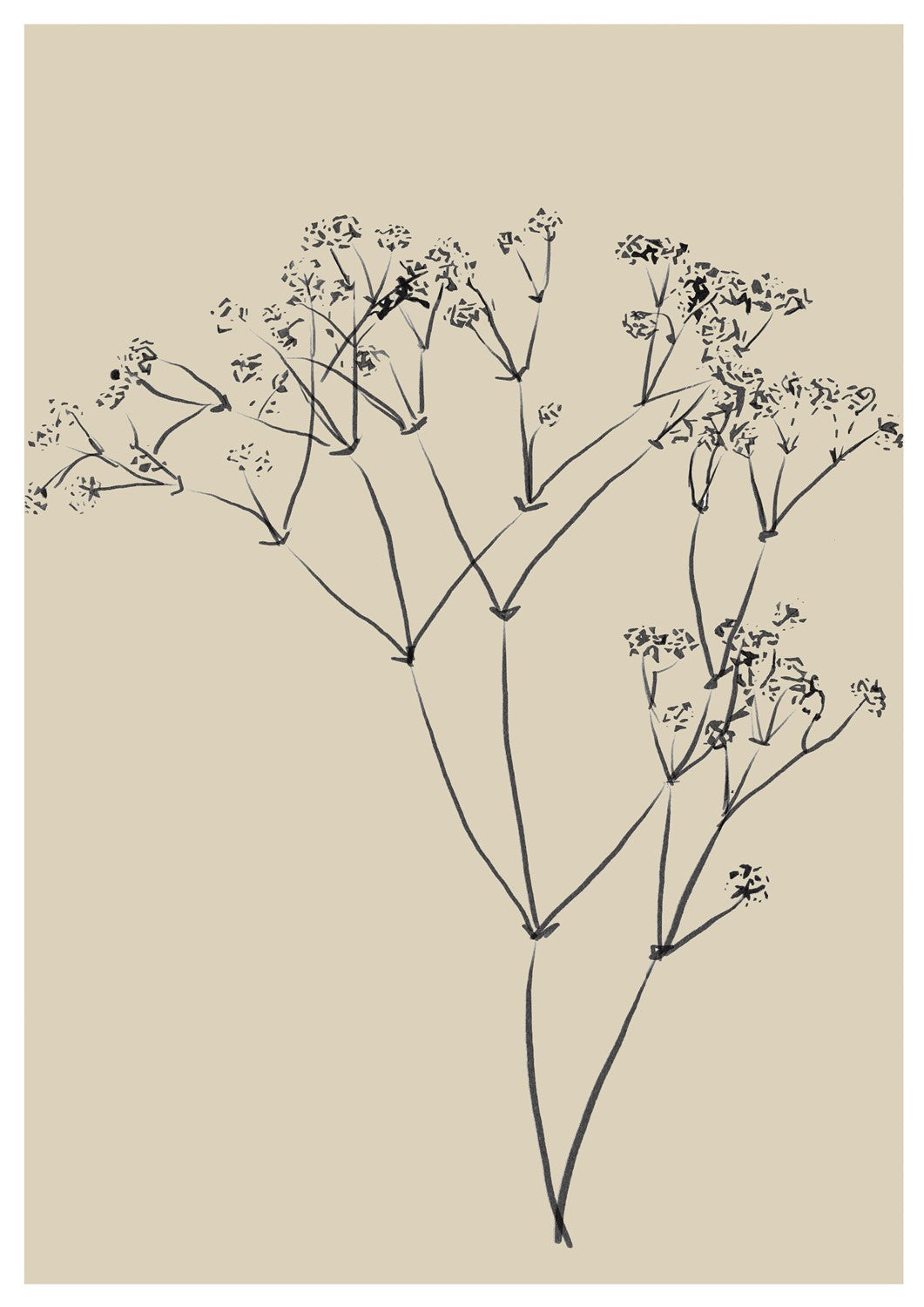 MIUUS_04_Print18_ISO