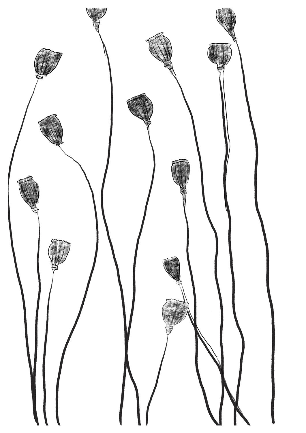 MIUUS_04_Print19_ISO