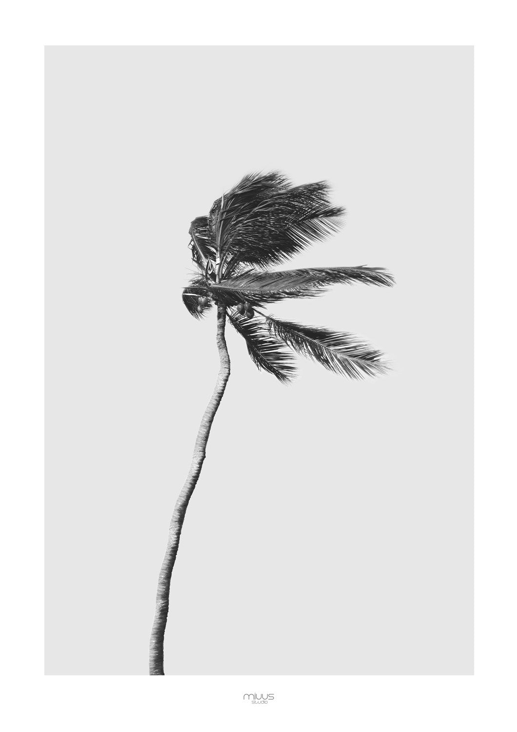 MIUUS_04_Print236_ISO