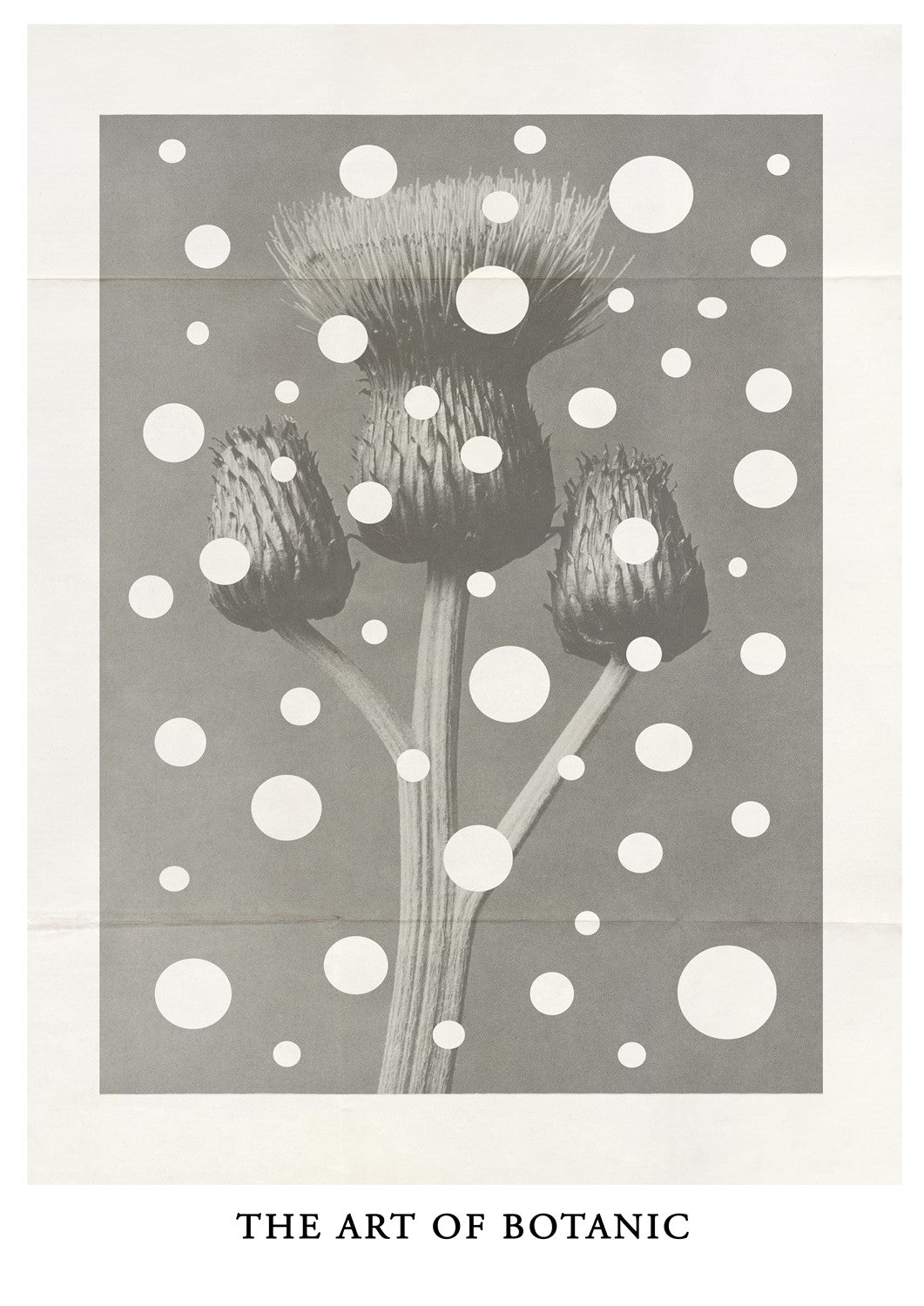 MIUUS_04_Print51_ISO