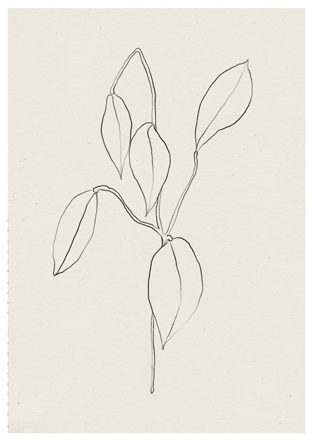 MIUUS_04_Print_018_ISO