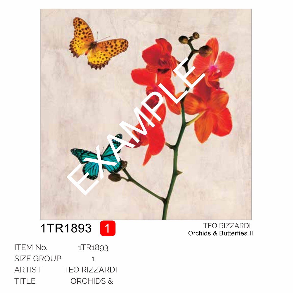 2SR5774 - Steve Roja - Tags in Motion