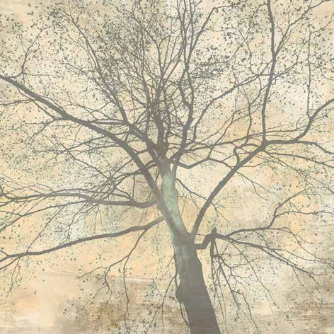 1AI6380 - Alessio Aprile - Below My Tree II (detail)