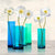 1AN4582 - Cynthia Ann - Poppies in crystal vases (Aqua I)