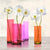 1AN4584 - Cynthia Ann - Poppies in crystal vase (Purple I)